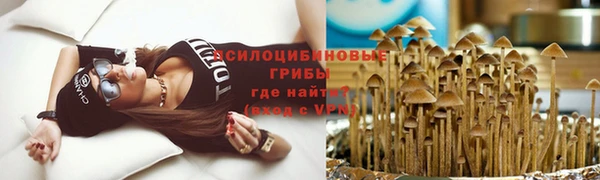 spice Абдулино