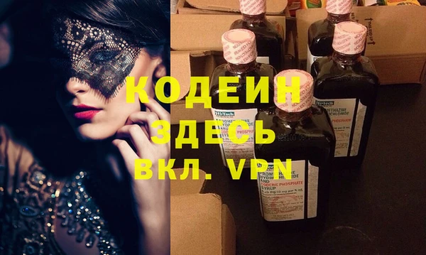 индика Гусев