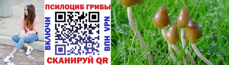 Галлюциногенные грибы ЛСД Усинск